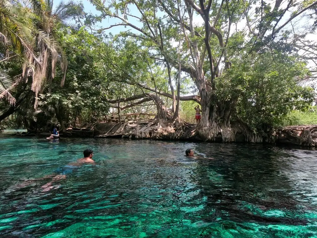 Swimmers in the clear pool at Kikuletwa hot springs
