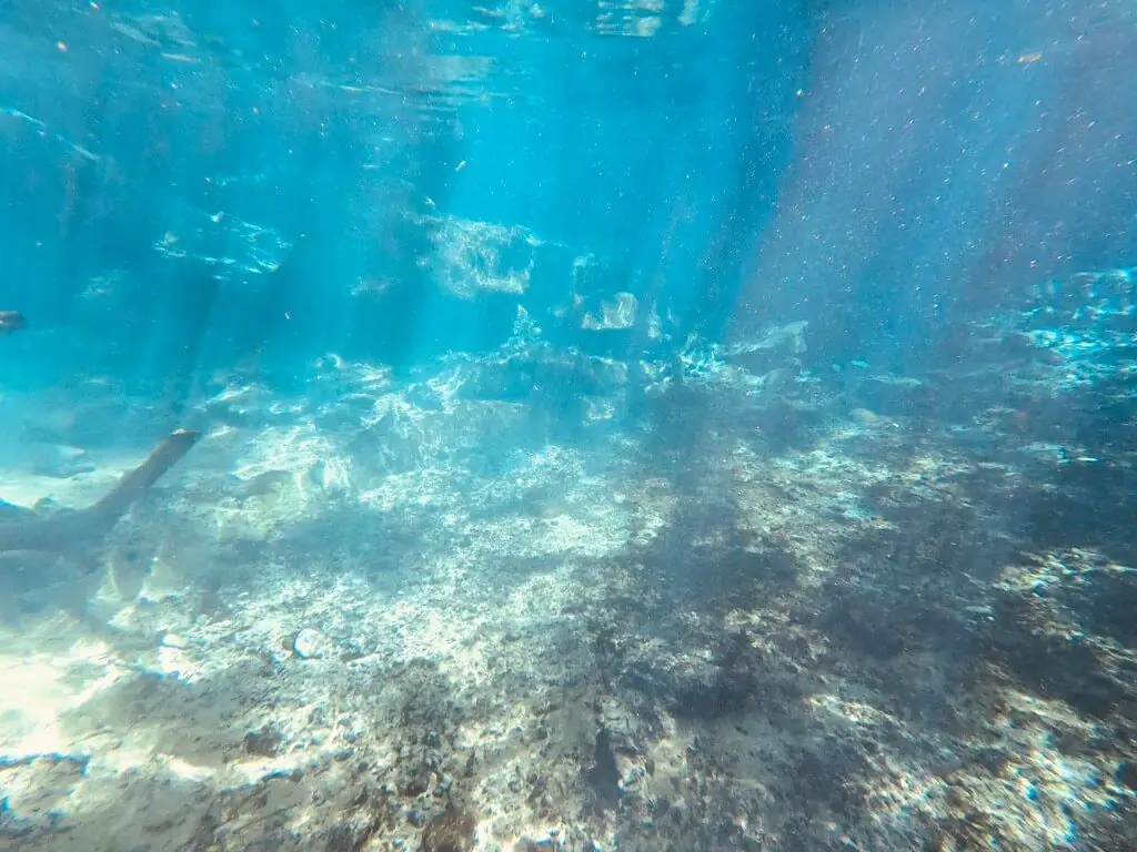 Clear spring water at Kikuletwa
