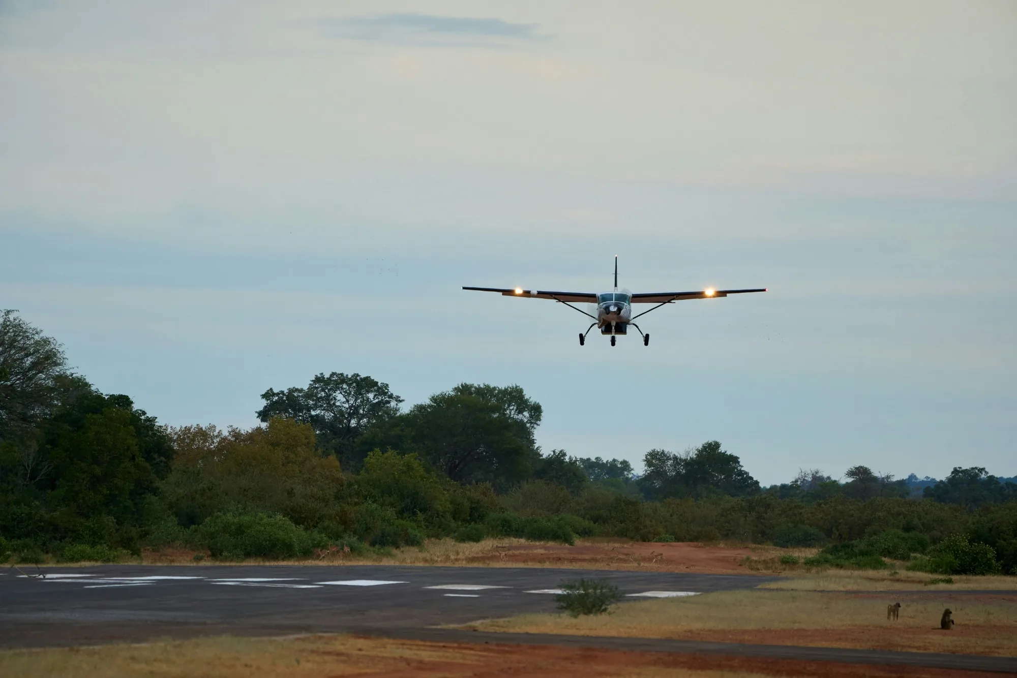 A light aircraft coming in to land on a bush airstrip