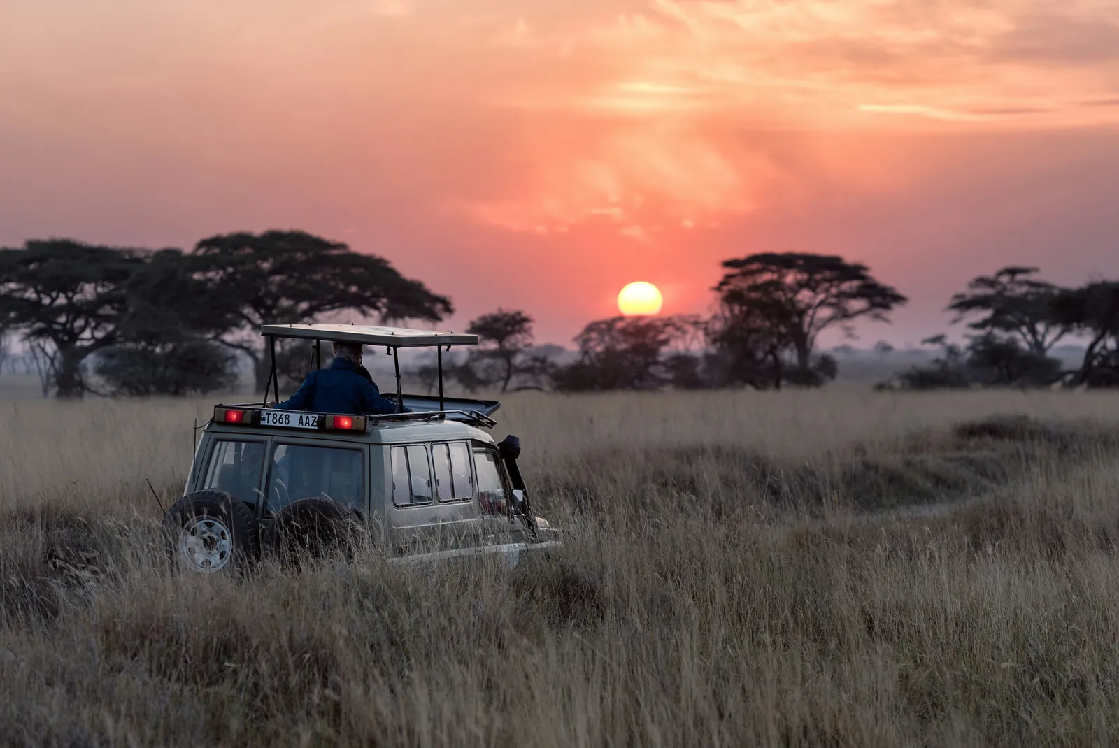 A last game drive in the Serengeti at sunset