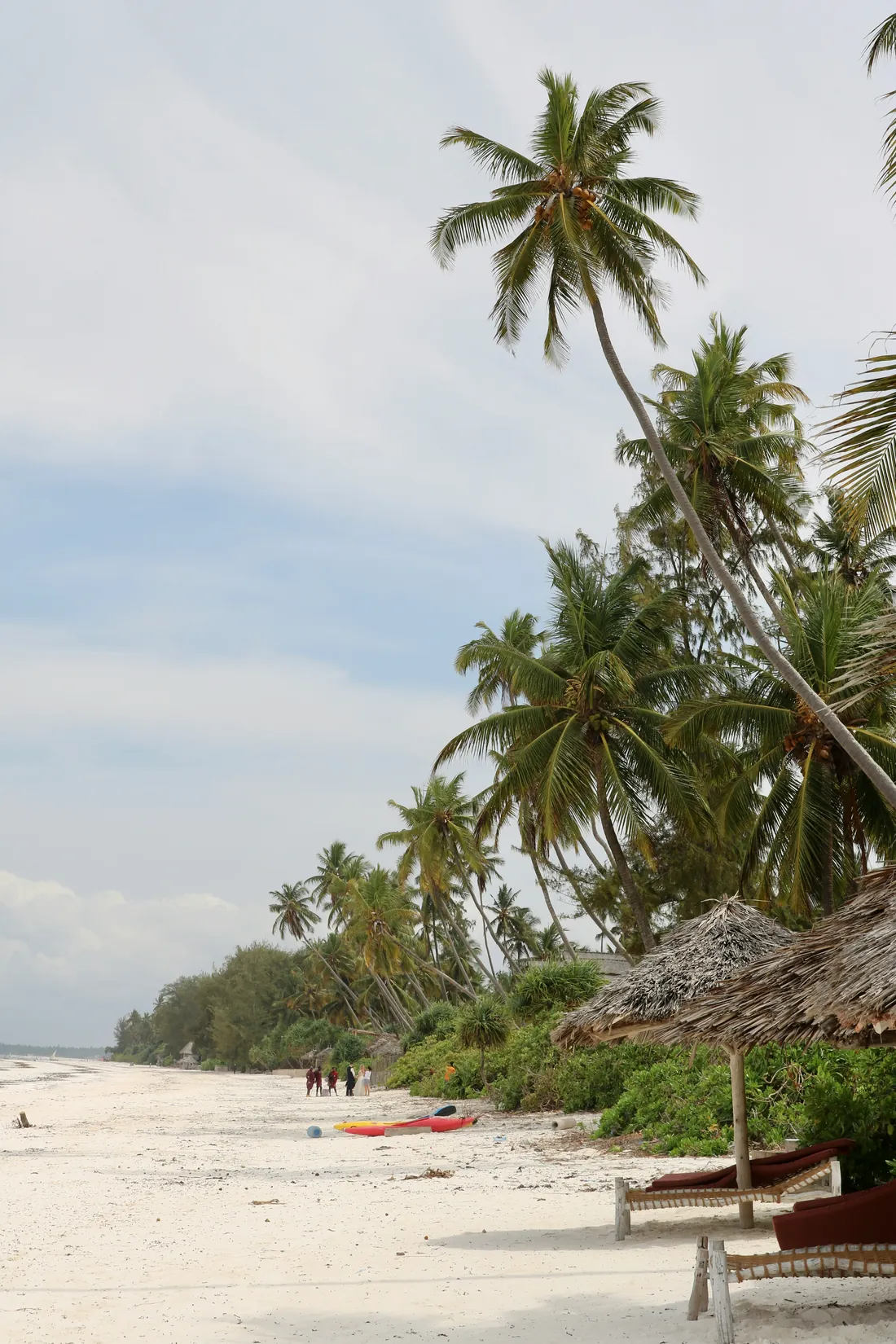 White sand and palm trees on Zanzibar