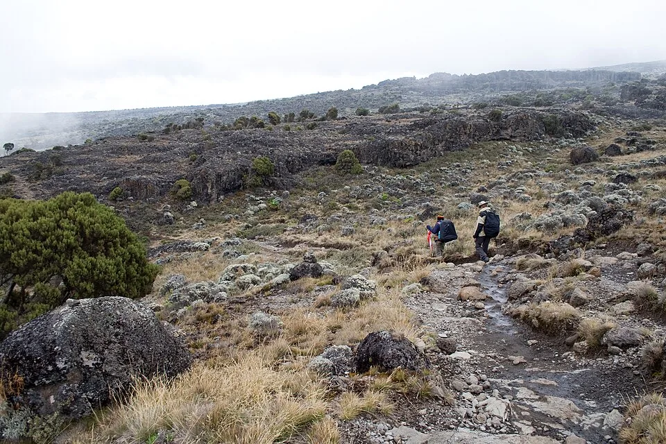 Two hikers on a rocky trail across misty moorland