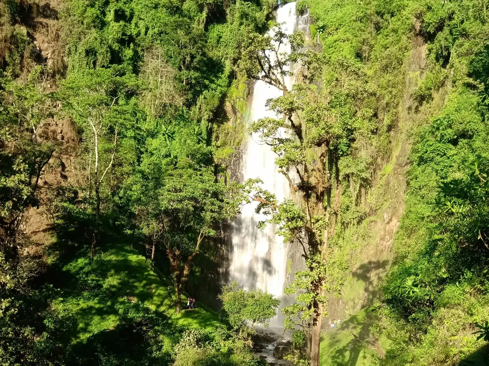 The Materuni waterfall seen through the forest