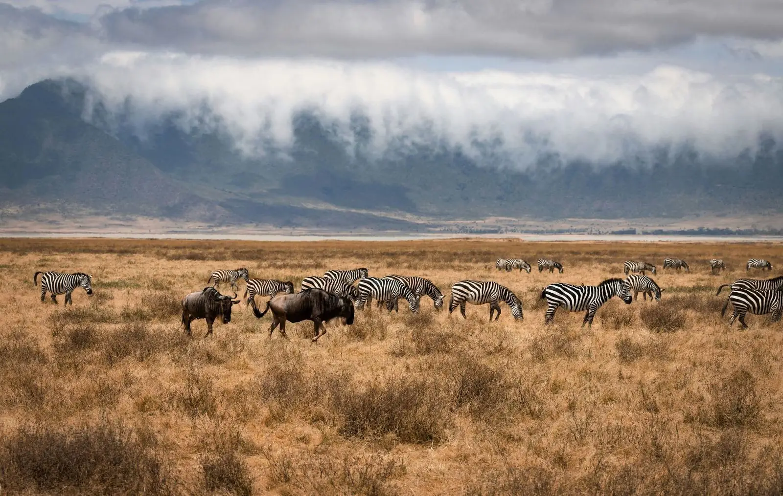 Clouds over the Ngorongoro Crater floor