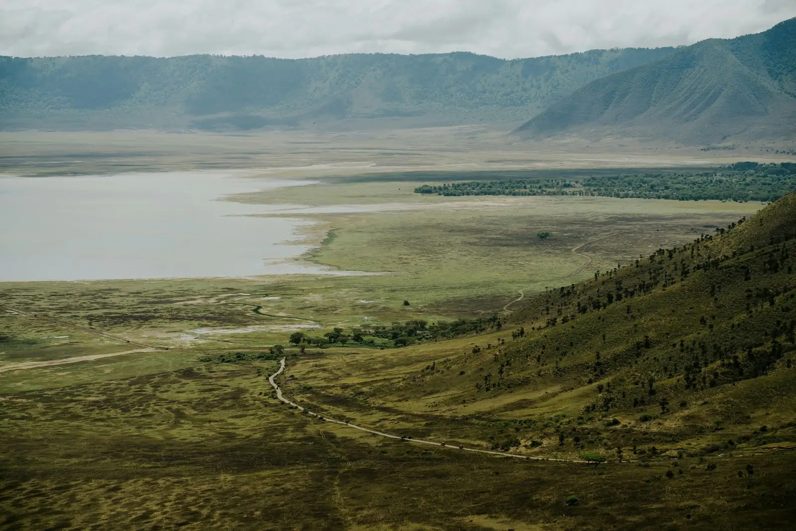 The Ngorongoro Crater seen from the rim