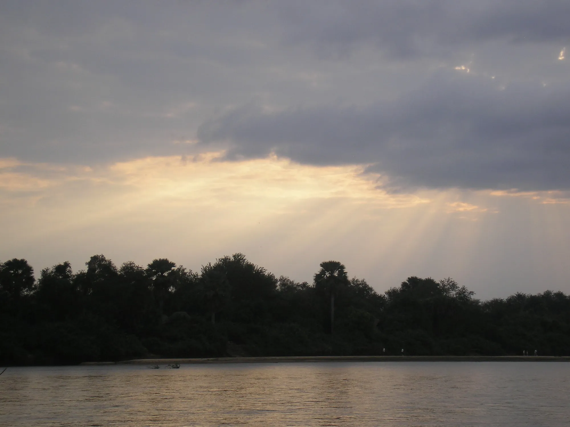 The Rufiji River at dusk in Nyerere