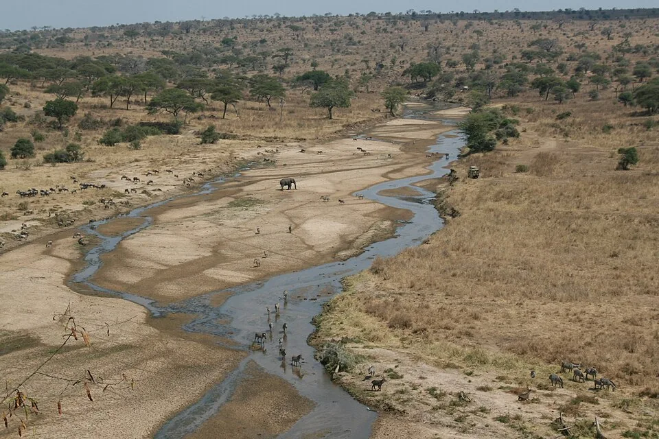 The Tarangire River in the dry season